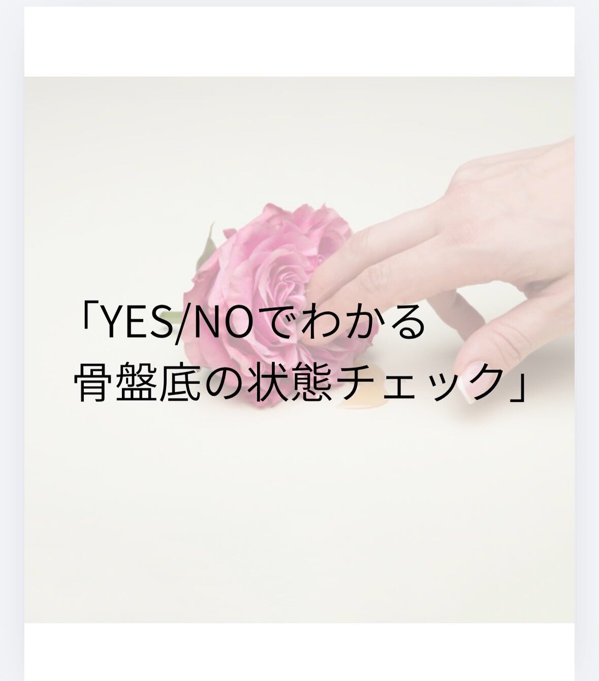 今週のANEMONEのおはなし