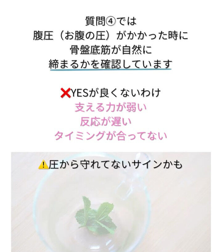 今週のANEMONEのおはなし